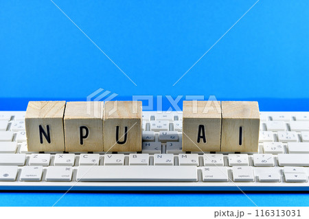 NPUとAI 116313031