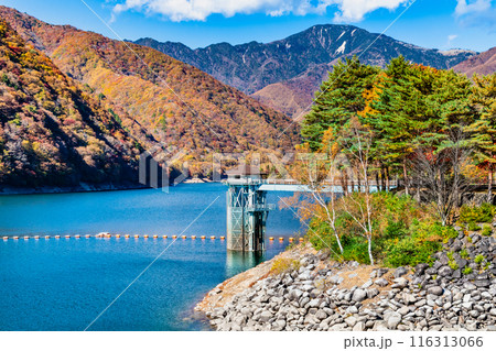 山梨 黄葉に染まる広瀬ダム 116313066