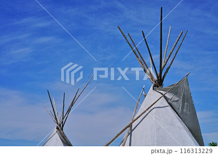 ティピーテント 移動型住居 ティピーテント 移動型住居 116313229