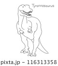 ティラノサウルス　リアルでかわいい恐竜　正面 116313358