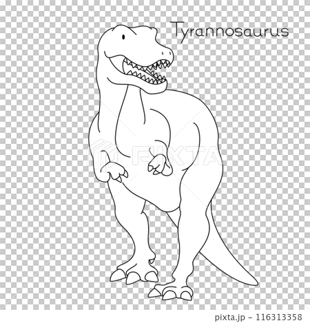 ティラノサウルス　リアルでかわいい恐竜　正面 116313358