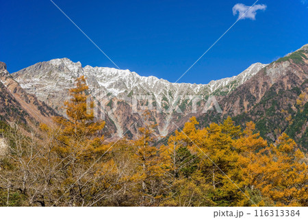 上高地の絶景【2023秋】鮮やかに色付くカラマツと穂高連峰 上高地の絶景【2023秋】鮮やかに色付くカラマツと穂高連峰 116313384