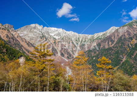 上高地の絶景【2023秋】鮮やかに色付くカラマツと穂高連峰 116313388