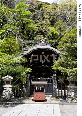 鎌倉鶴岡八幡宮の白旗神社 116313470