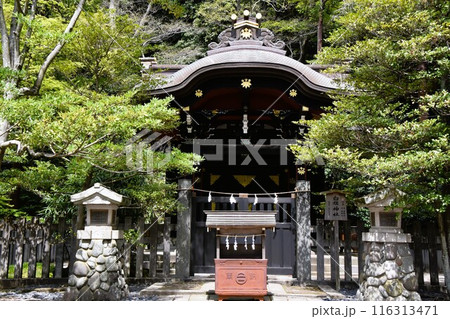 鎌倉鶴岡八幡宮の白旗神社 116313471