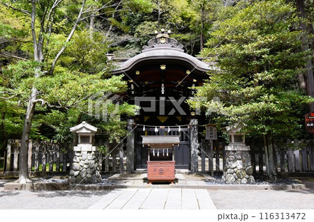 鎌倉鶴岡八幡宮の白旗神社 116313472