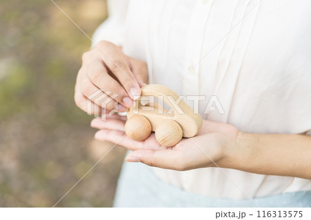 木の模型の車を持つ若い女性 116313575