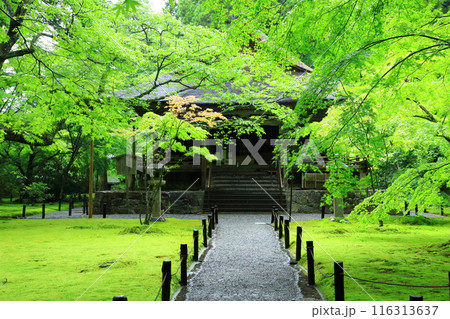 京都大原三千院 往生極楽院 京都大原三千院 往生極楽院 116313637