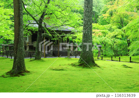 京都大原三千院 往生極楽院 京都大原三千院 往生極楽院 116313639