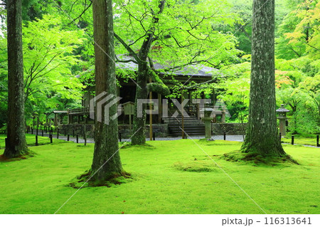 京都大原三千院 往生極楽院 京都大原三千院 往生極楽院 116313641