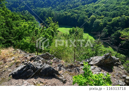 Beautiful nature with forest and rocks in the Jihlava river valley. Landscape on a summer day Czech Republic - Europe. 116313718