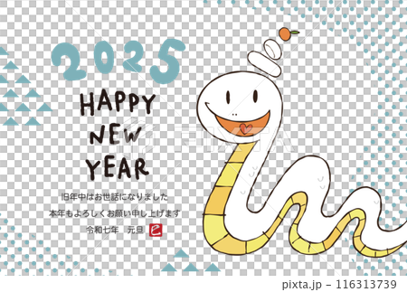 2025年　巳年の年賀状デザイン 116313739