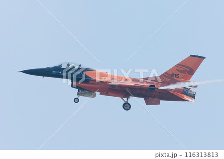 飛行するオランダ空軍F-16AMデモチーム 116313813