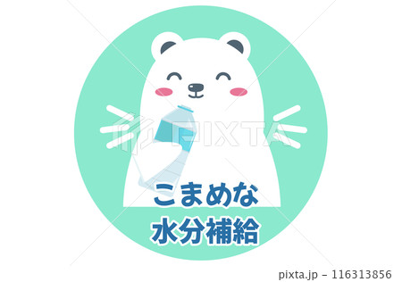 水分補給をする白くま。水を飲む。ベクターイラスト	 116313856