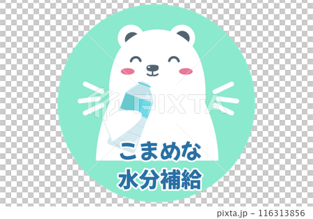 水分補給をする白くま。水を飲む。ベクターイラスト	 116313856