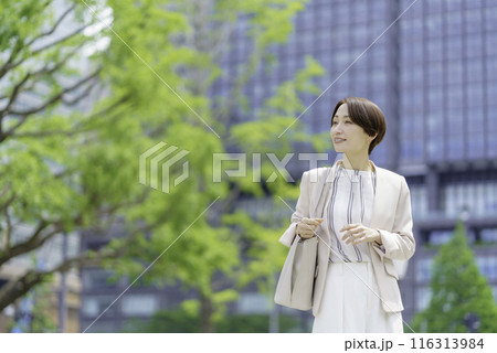 オフィス街を通勤するビジネスウーマン 116313984