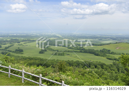 北海道 十勝平野 清水円山展望台からの眺め 116314029