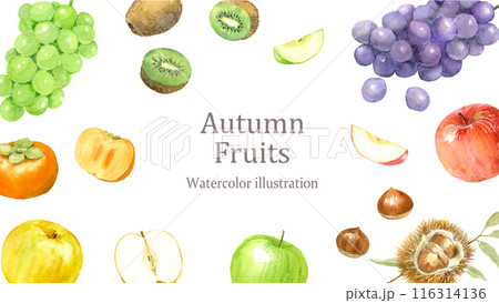 水彩で描いた秋のフルーツのフレーム 116314136