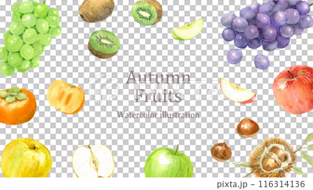 水彩で描いた秋のフルーツのフレーム 116314136