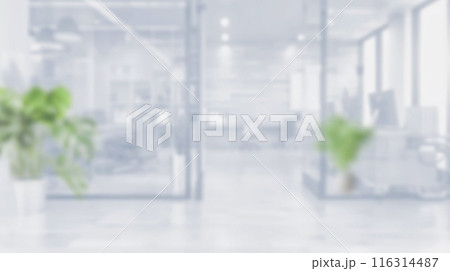 Blurred empty open space office. Abstract light bokeh at office interior background for design. 116314487