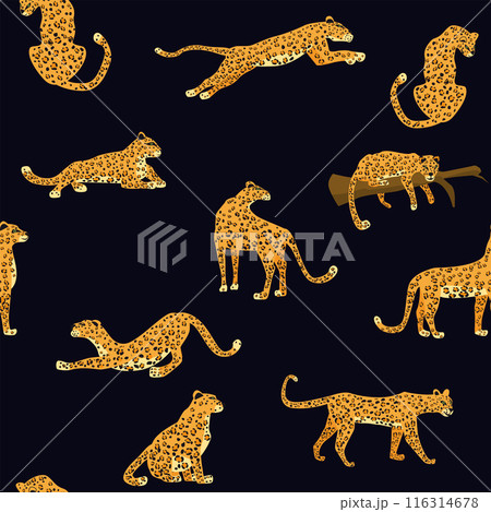 Leopard seamless pattern. Vector illustration 116314678