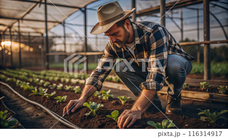 Organic Farming 116314917