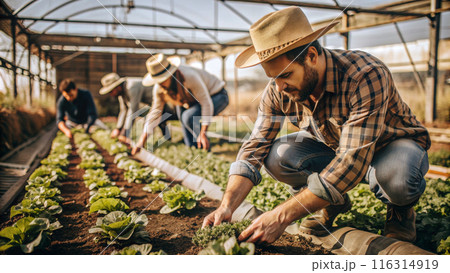 Organic Farming 116314919