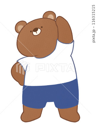 ラジオ体操をするクマ 116315215