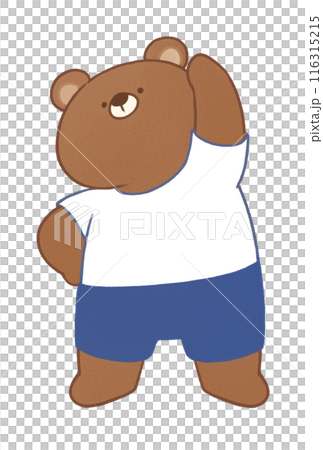ラジオ体操をするクマ 116315215