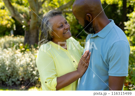 Smiling senior couple enjoying conversation and bonding in outdoor park 116315499