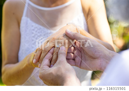 Placing engagement ring on bride's finger, bride and groom at outdoor wedding 116315501