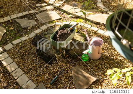 Gardening tools and soil in wheelbarrow on tree stump in backyard garden, copy space Gardening tools and soil in wheelbarrow on tree stump in backyard garden, copy space 116315532