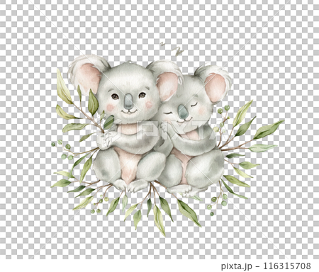 Cute kawaii koalas sitting with green branch eucalyptus and sleeping. Watercolor hand drawn illustration australian animal isolated on background. Cartoon kids print minimalist scandinavian style. Cute kawaii koalas sitting with green branch eucalyptus and sleeping. Watercolor hand drawn illustration australian animal isolated on background. Cartoon kids print minimalist scandinavian style. 116315708