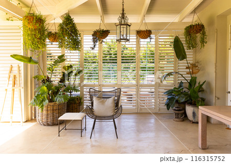 Indoor patio with hanging plants and wicker furniture, creating cozy atmosphere, copy space 116315752