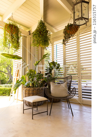 Indoor garden with hanging plants and wicker chair in sunlit room, copy space 116315757