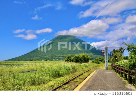 西大山駅から望む開聞岳（鹿児島県・指宿市） 116316602
