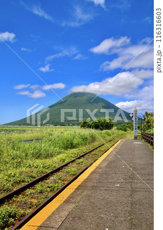 西大山駅から望む開聞岳（鹿児島県・指宿市） 116316603