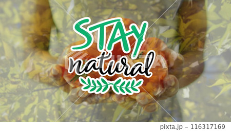 Image of stay natural text over african american man holding tomatoes Image of stay natural text over african american man holding tomatoes 116317169