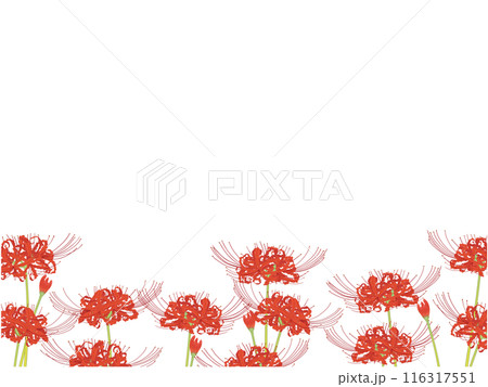 彼岸花のフレーム① 116317551