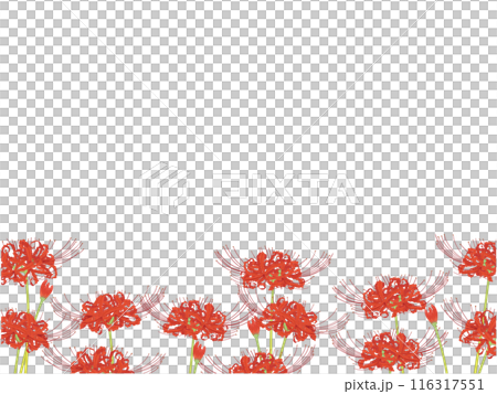 彼岸花のフレーム① 116317551