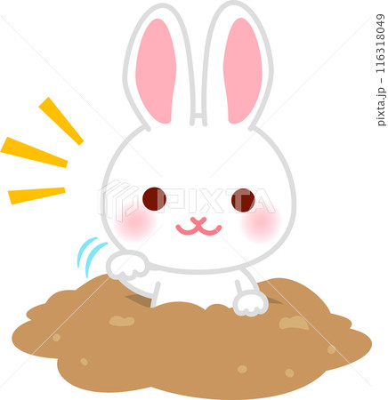 地面に掘った穴から顔を出すウサギ、ウサギの穴 地面に掘った穴から顔を出すウサギ、ウサギの穴 116318049