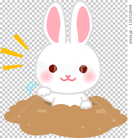 地面に掘った穴から顔を出すウサギ、ウサギの穴 地面に掘った穴から顔を出すウサギ、ウサギの穴 116318049