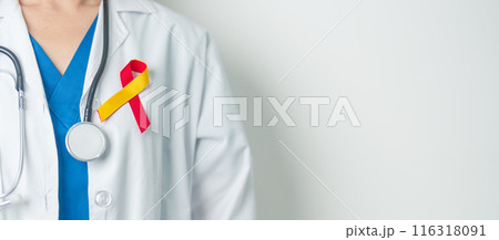 World hepatitis day awareness month, 28 July. Doctor holding Red and Yellow ribbon. Liver cancer, Jaundice, Cirrhosis, Failure, Enlarged, Hepatic Encephalopathy and Health concept World hepatitis day awareness month, 28 July. Doctor holding Red and Yellow ribbon. Liver cancer, Jaundice, Cirrhosis, Failure, Enlarged, Hepatic Encephalopathy and Health concept 116318091