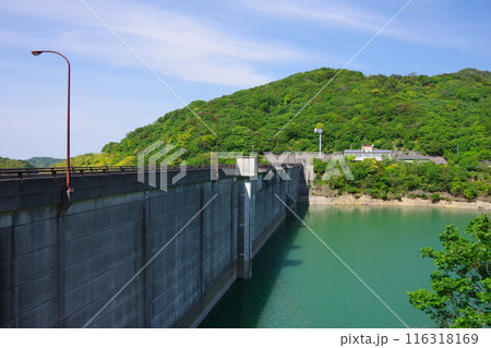 兵庫県淡路島 大日ダム 兵庫県淡路島 大日ダム 116318169