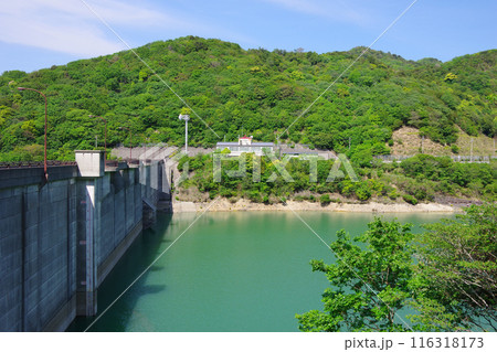兵庫県淡路島　大日ダム 116318173
