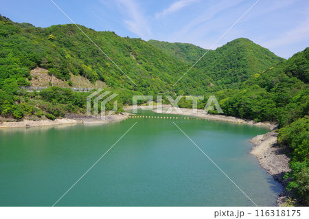 兵庫県淡路島　大日ダム 116318175