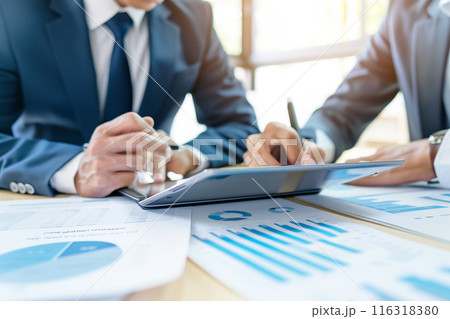 お客様に提案するビジネスマン お客様に提案するビジネスマン 116318380
