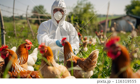 Poultry Health Inspection for Avian Influenza 116319555