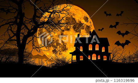 Spooky Haunted House and Full Moon Spooky Haunted House and Full Moon 116319696