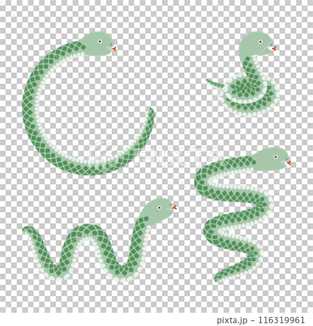 Set of various green snake illustrations Set of various green snake illustrations 116319961